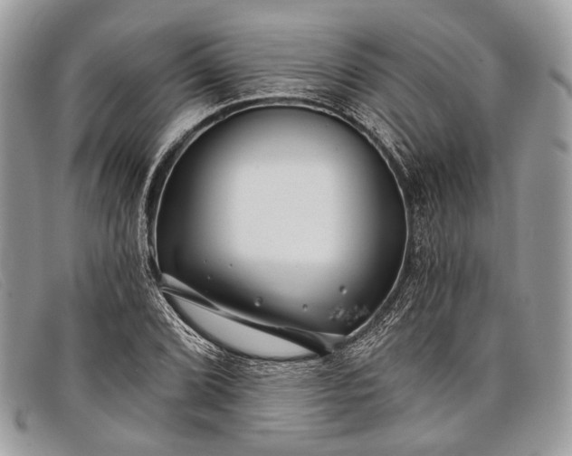 X0000098031072200804111317