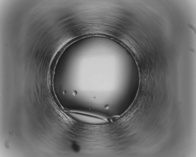 X0000098031076200804111317