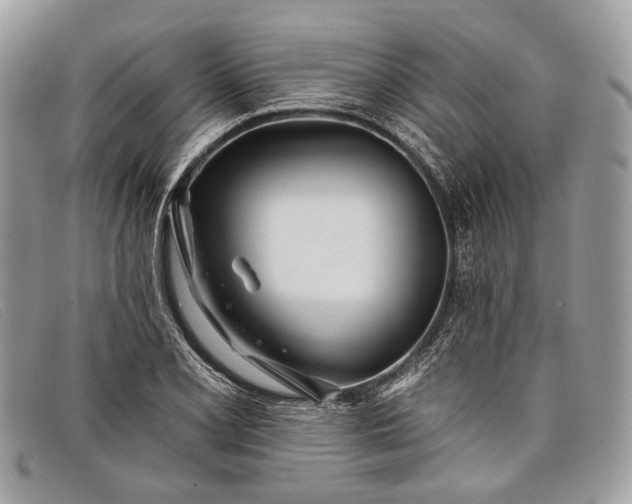 X0000098031077200804111317