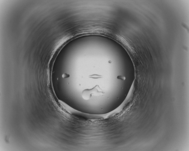 X0000098031079200804111317