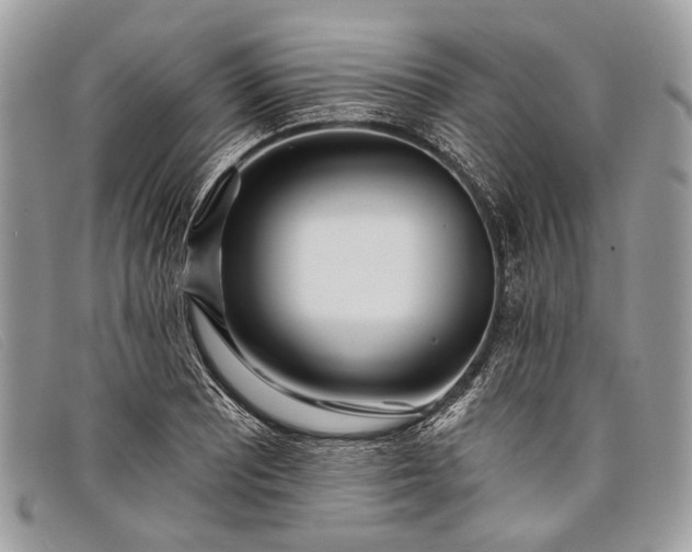 X0000098031081200804111317