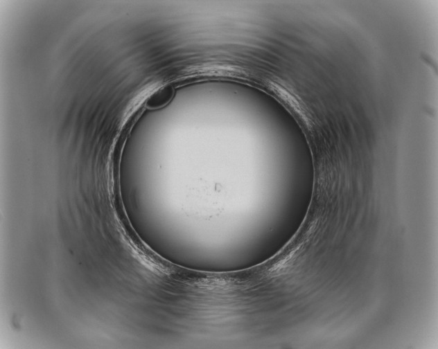 X0000098031082200804111317