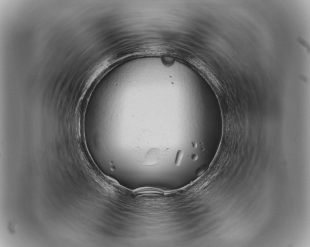 X0000098031083200804111317