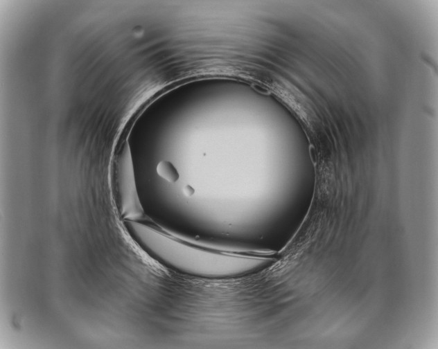 X0000098031084200804111317