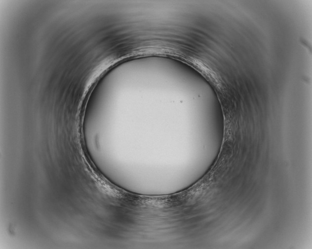 X0000098031086200804111317