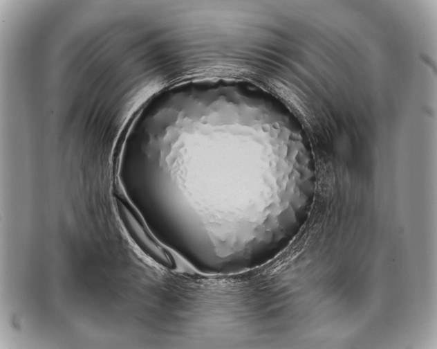 X0000098031087200804111317