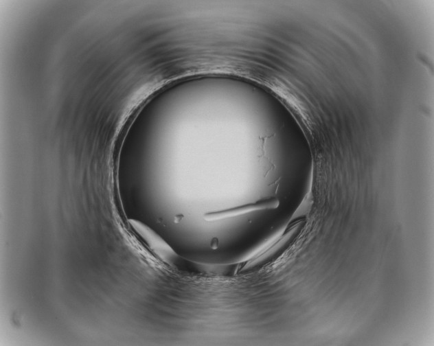 X0000098031088200804111317