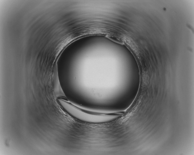 X0000098031089200804111317