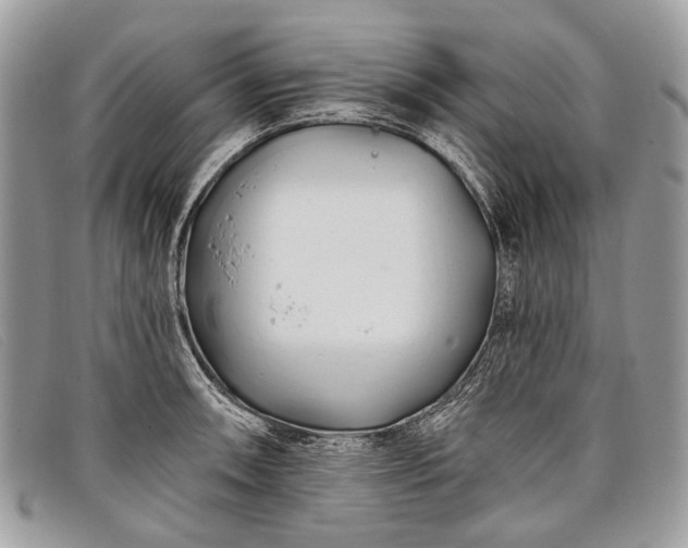 X0000098031090200804111317