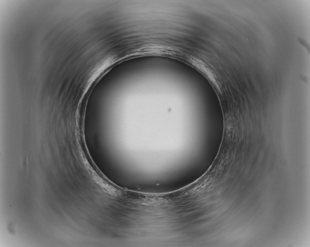 X0000098031091200804111317