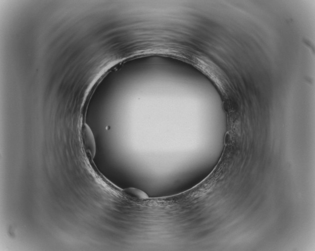 X0000098031092200804111317