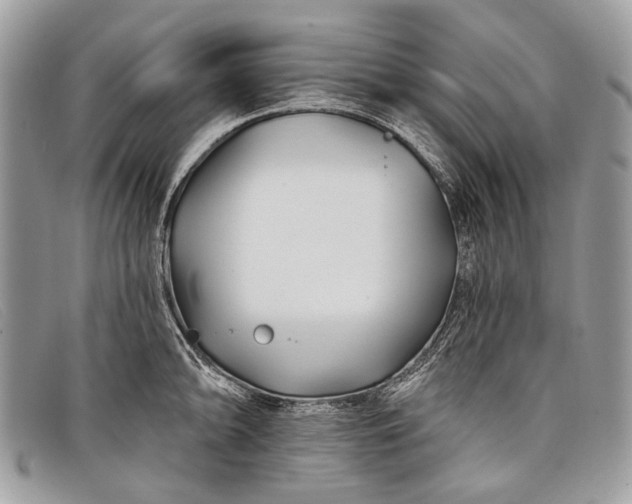 X0000098031094200804111317