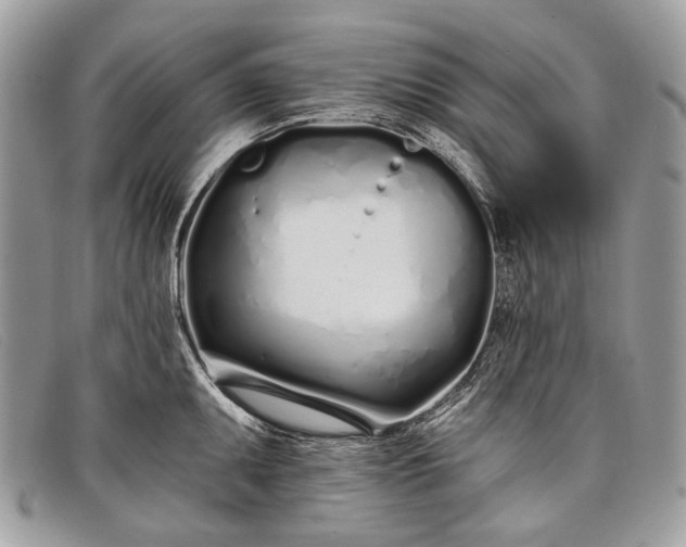 X0000098031095200804111317