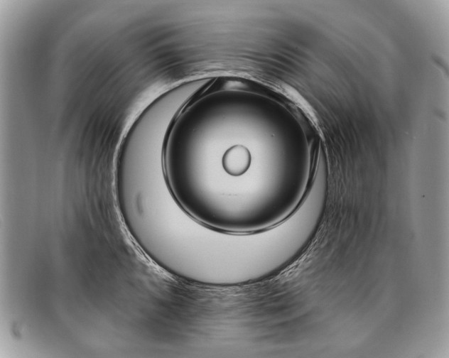 X0000098031096200804111317