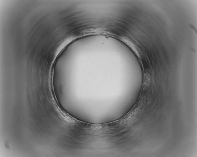 X0000098031098200804111317