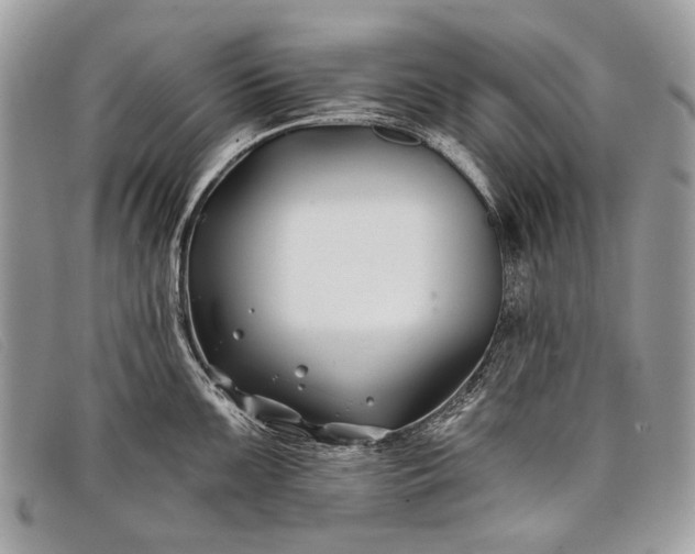 X0000098031099200804111317