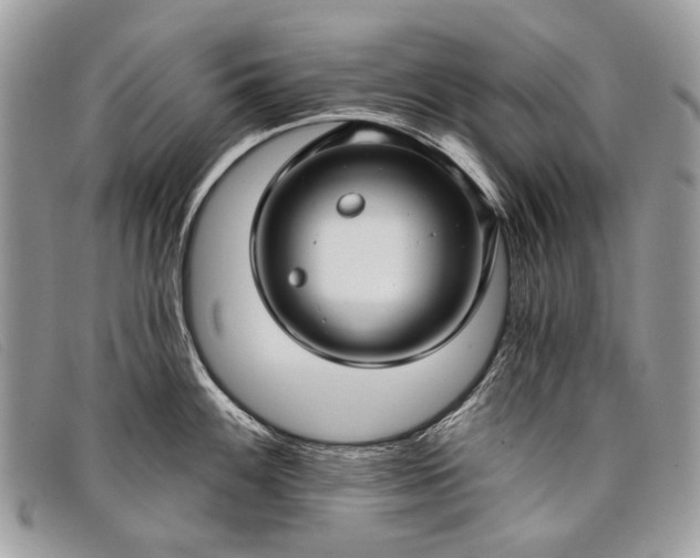 X0000098031100200804111317