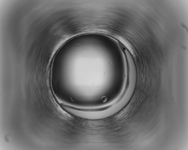 X0000098031102200804111317