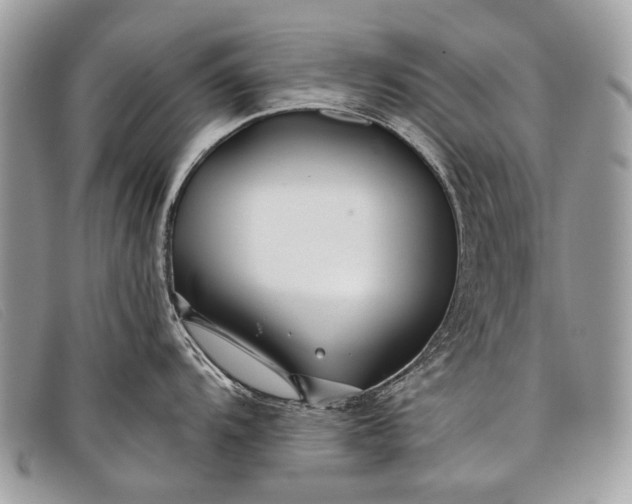 X0000098031104200804111316