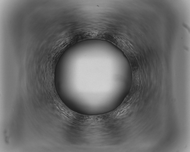 X0000098031105200804111316