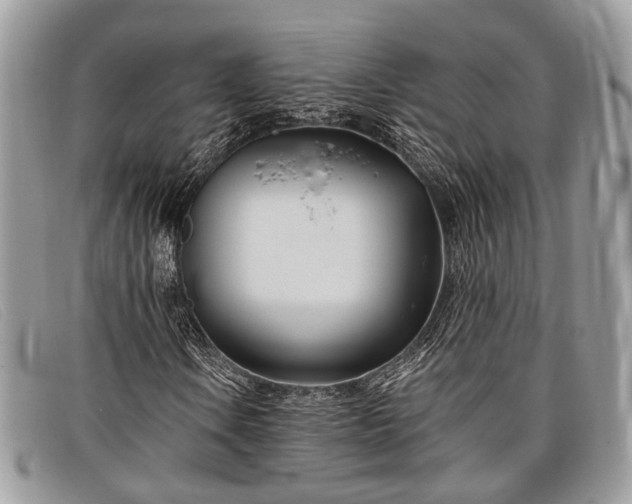 X0000098031106200804111316