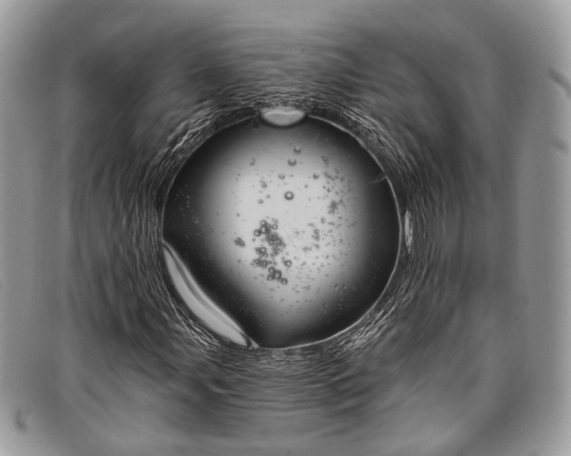 X0000098031107200804111316