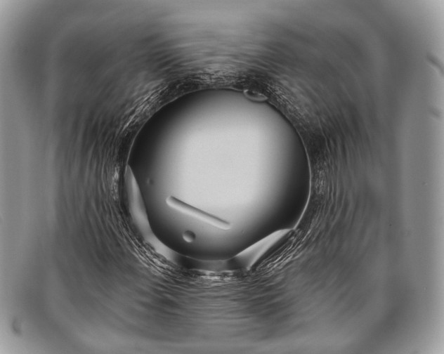 X0000098031108200804111316