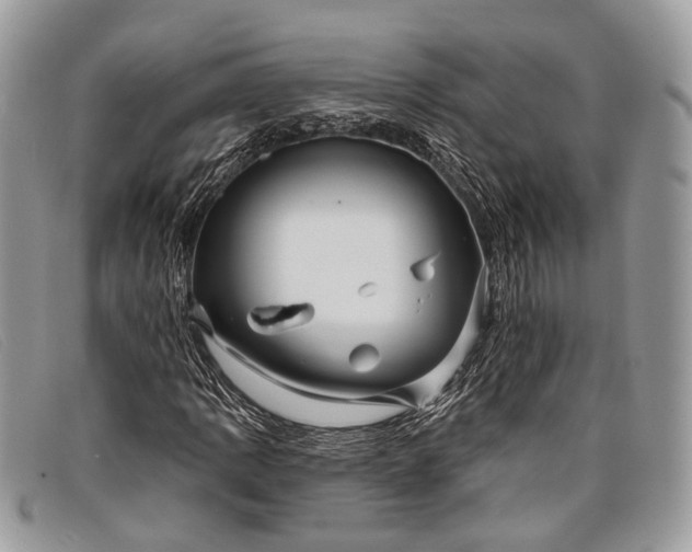 X0000098031109200804111316