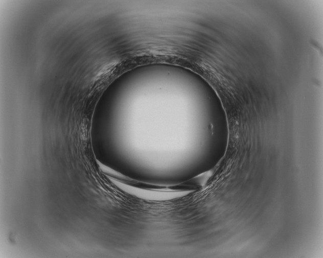 X0000098031110200804111316