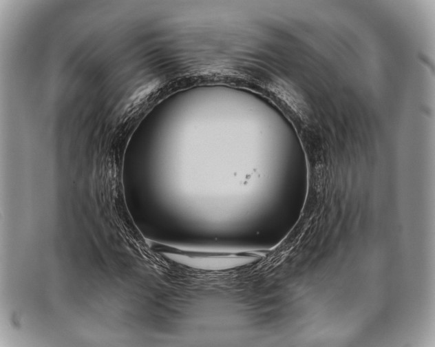 X0000098031111200804111316