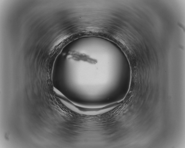 X0000098031112200804111316