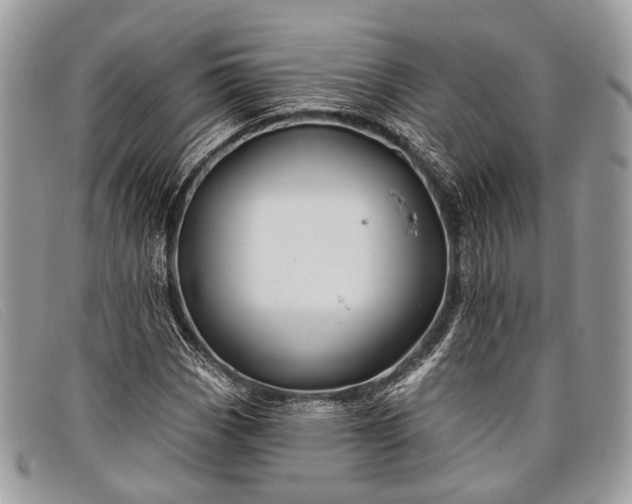 X0000098031113200804111316