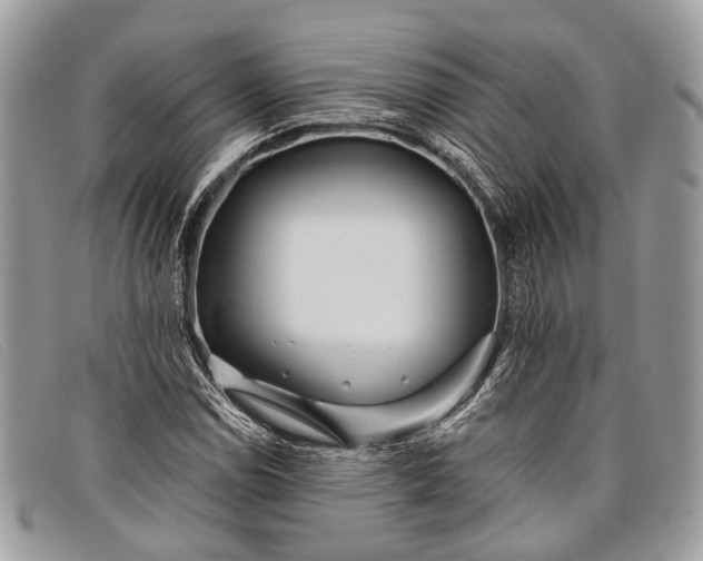 X0000098031114200804111316