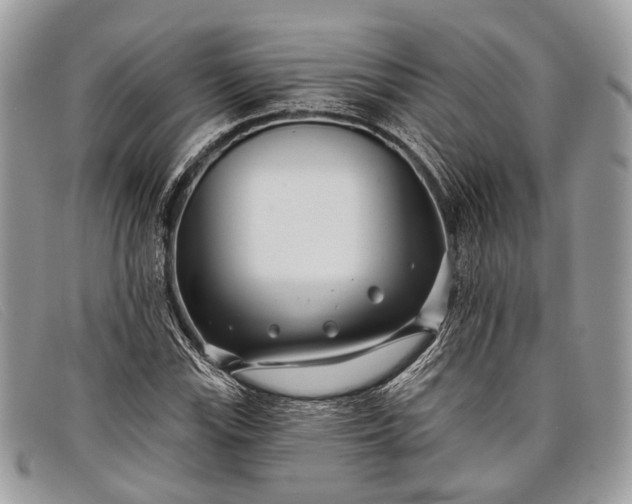 X0000098031115200804111316