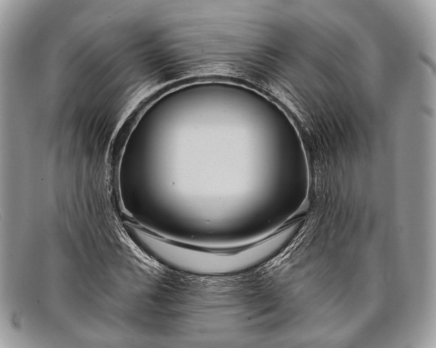 X0000098031116200804111316