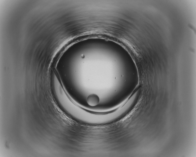 X0000098031118200804111316