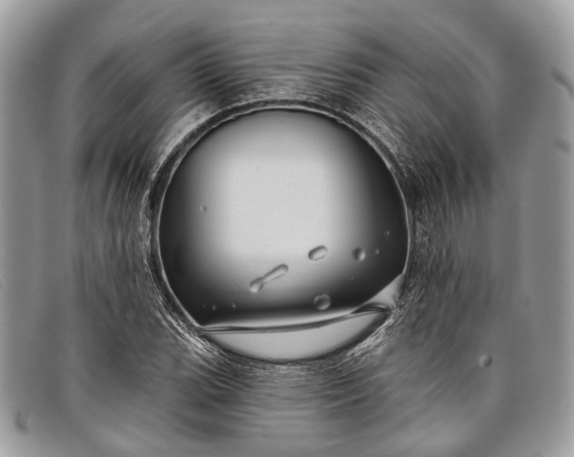 X0000098031119200804111316