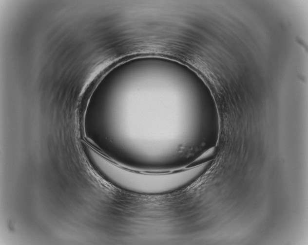 X0000098031120200804111316