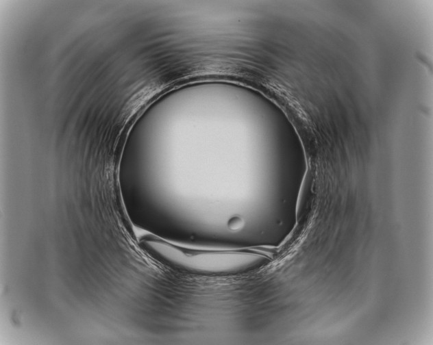 X0000098031121200804111316