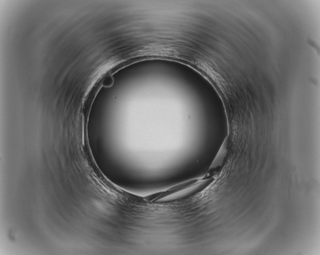 X0000098031123200804111316