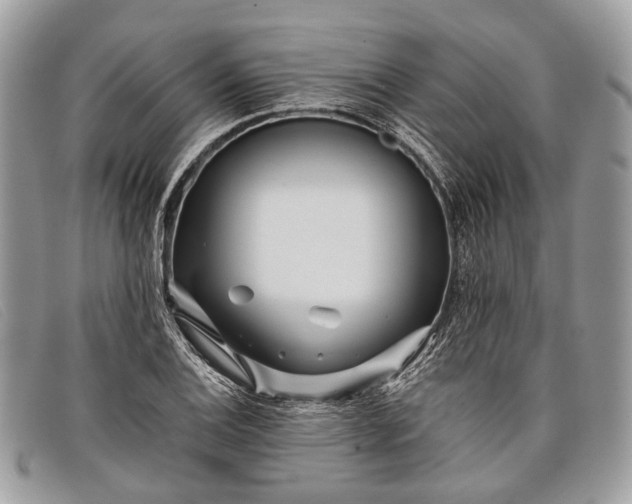 X0000098031124200804111316