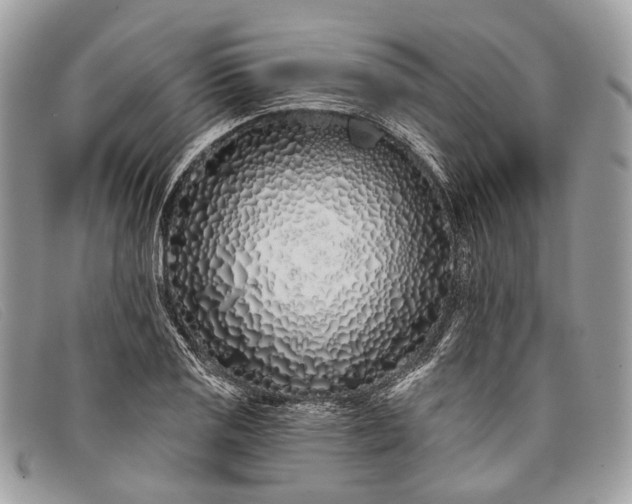 X0000098031125200804111316