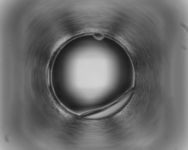 X0000098031127200804111316