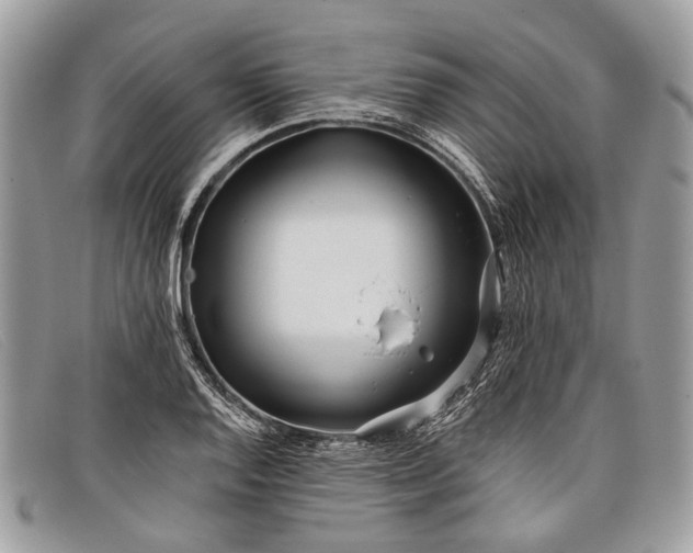 X0000098031128200804111316