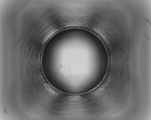 X0000098031129200804111316