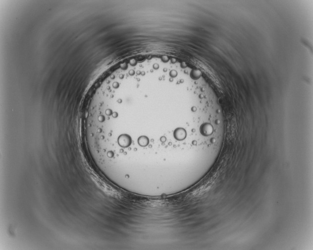 X0000098031130200804111316