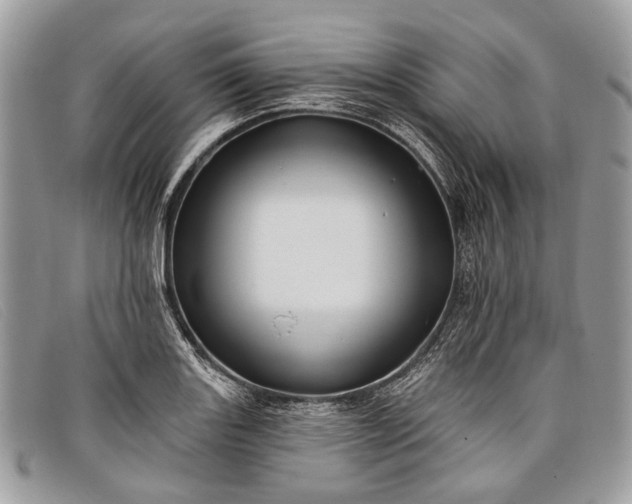 X0000098031131200804111316