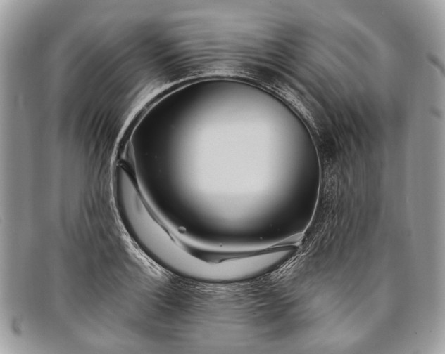 X0000098031132200804111316