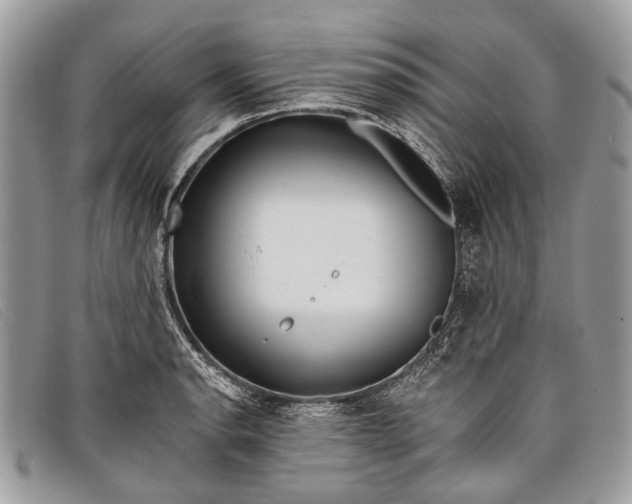 X0000098031134200804111316