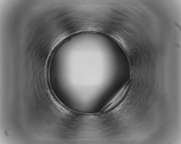 X0000098031135200804111316